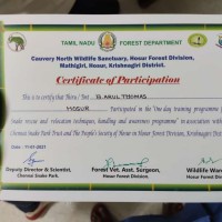 Certificate Of Participation